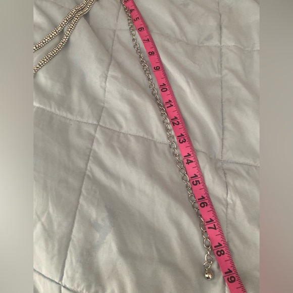 Chain Belt - Picture 7 of 7